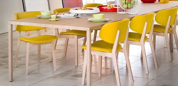 Calligaris chairs