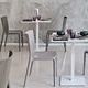 Pedrali chairs